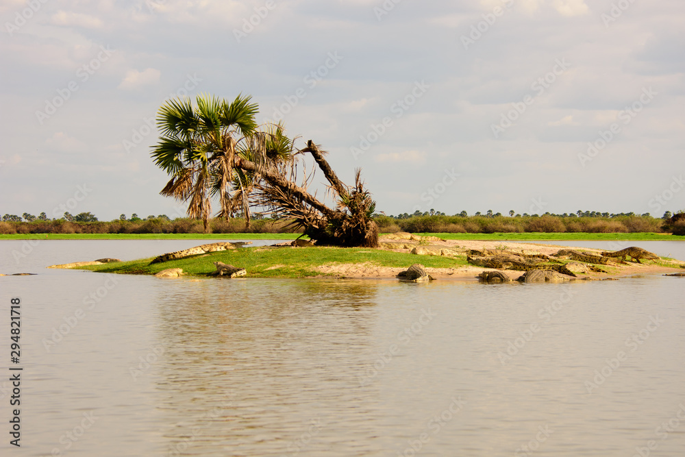 crocodile island in the selous