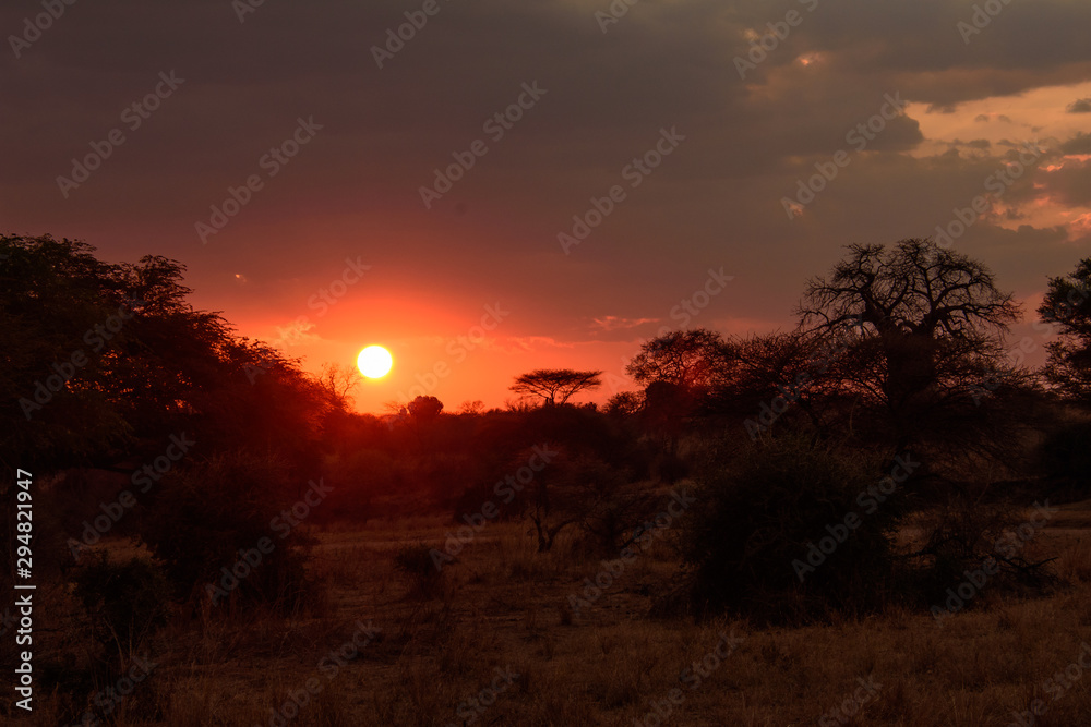 African safari sunset