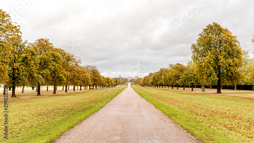 Windsor Castle Long Walk in Autumn
