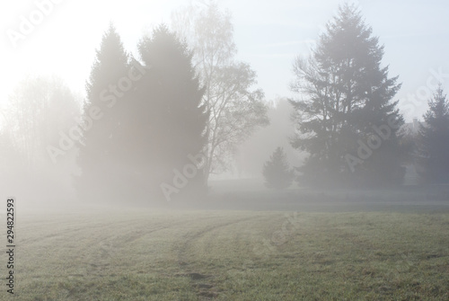 Der Nebel