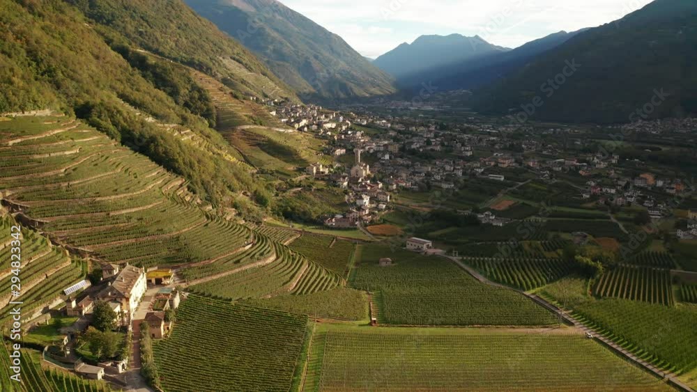 Aerial 4K - Valtellina (IT) - Bianzone - Vista dei vigneti di Nebbiolo 