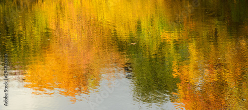 Reflection of autumn yellowed wood in water.Beauty of Autumn.Panorama view.