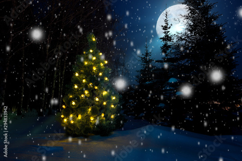 Christmas tree with christmas lights outdoor in the moonlight © Alik Mulikov