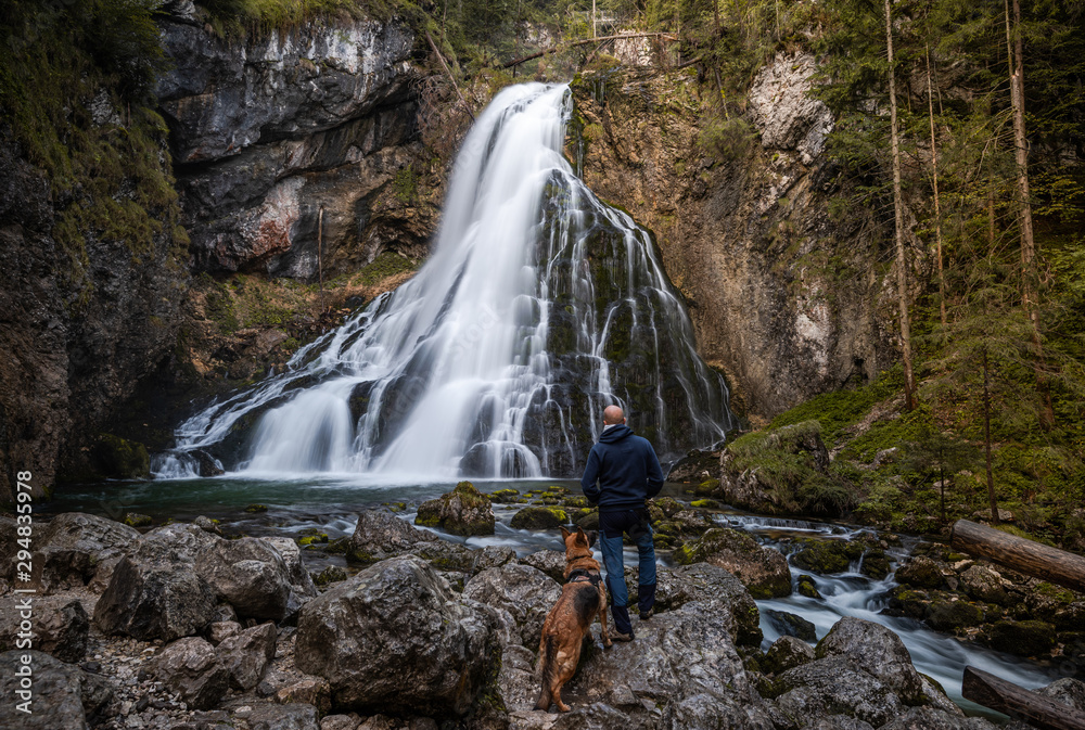 Fototapeta Adventure Man with Dog Hiking at Gollinger Waterfall in Austria