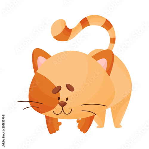 Cartoon cat yogi stands on four legs. Vector illustration.