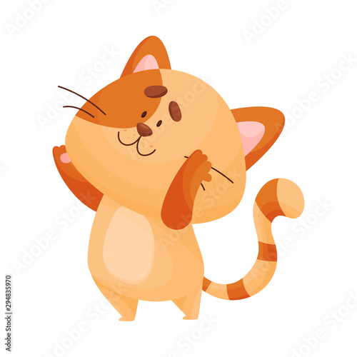 Cartoon cat yogi stands raising his hands up. Vector illustration.