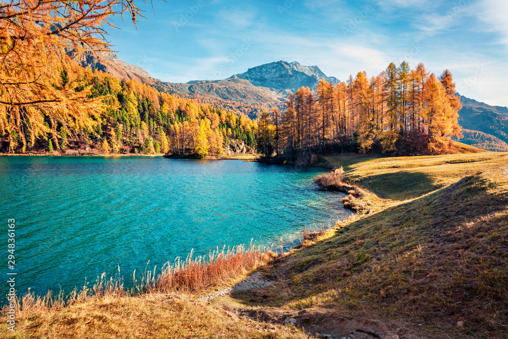 Sunny autumn scene of Sils Lake / Silsersee. Splendid morning view of Swiss Alps, Maloja Region, Upper Engadine, Switzerpand, Europe. Beauty of nature concept background.