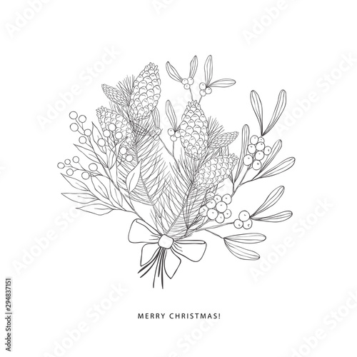 Winter bouquet with evergreen plants. Vector