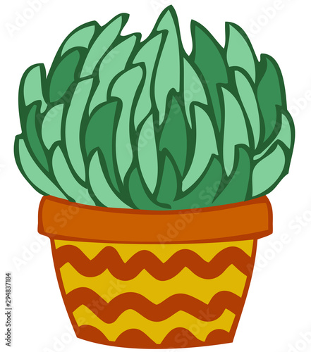Succulente plant, cactus. Nature clip-art