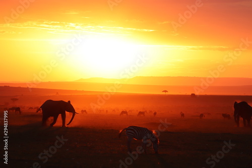 Silhouettes of african animals in the savannah during sunset.