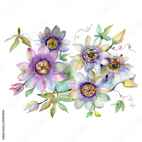 Passiflora bouquet floral botanical flowers. Watercolor background set. Isolated bouquets illustration element.