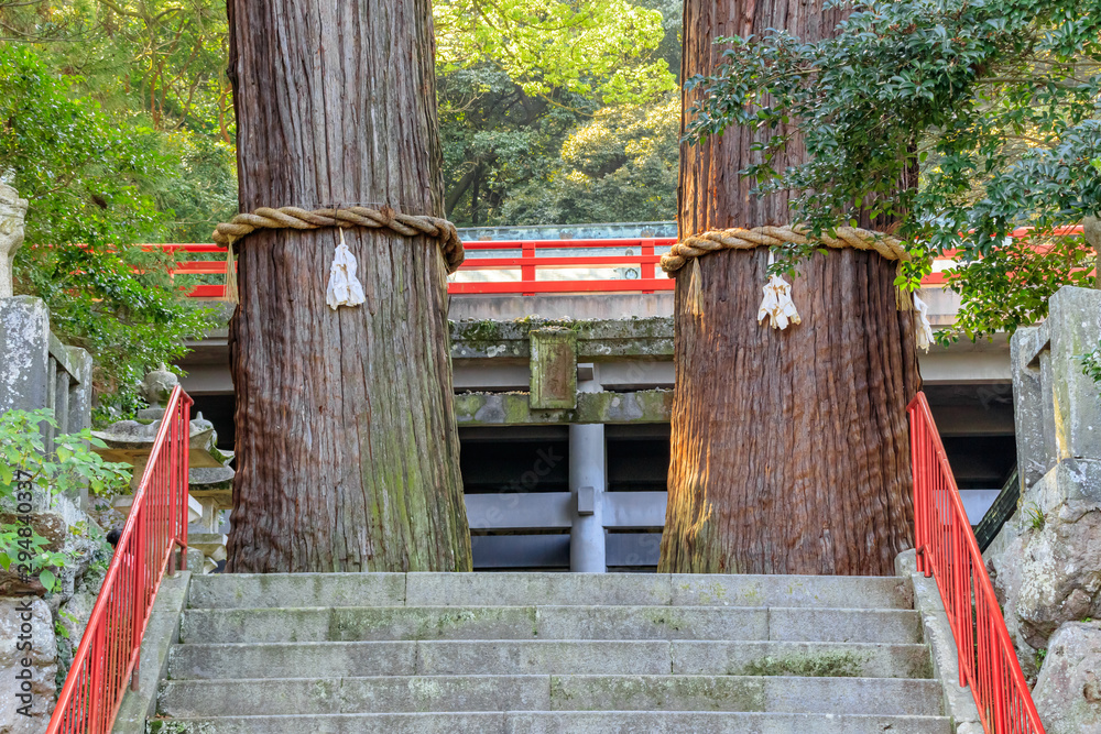 Fototapeta premium 八幡朝見神社 大分県別府市 Hachiman Asami Shrine Ooitaken Beppu