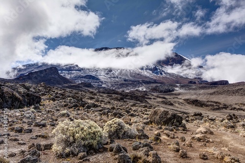 Obraz na płótnie Uhuru peak of Mt kilimanjaro in the morning