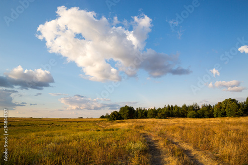 meadow under cloudy sky in autumn evening