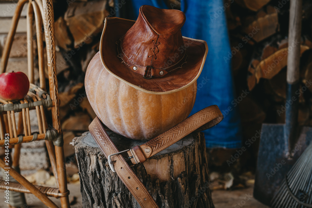 Round pumpkin lies on stump. Top leather hat Round pumpkin lies on stump. Top leather hat