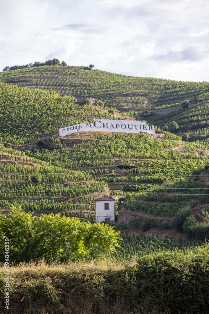  View of the M. Chapoutier Crozes-Hermitage vineyards in Tain l'Hermitage, Rhone valley, France