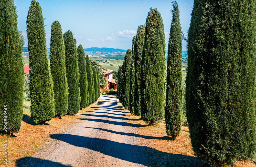 Classic Tuscan view with cypress trees. Colorful summer view of Italian countryside, Italy, Europe. Beauty of countryside concept background.