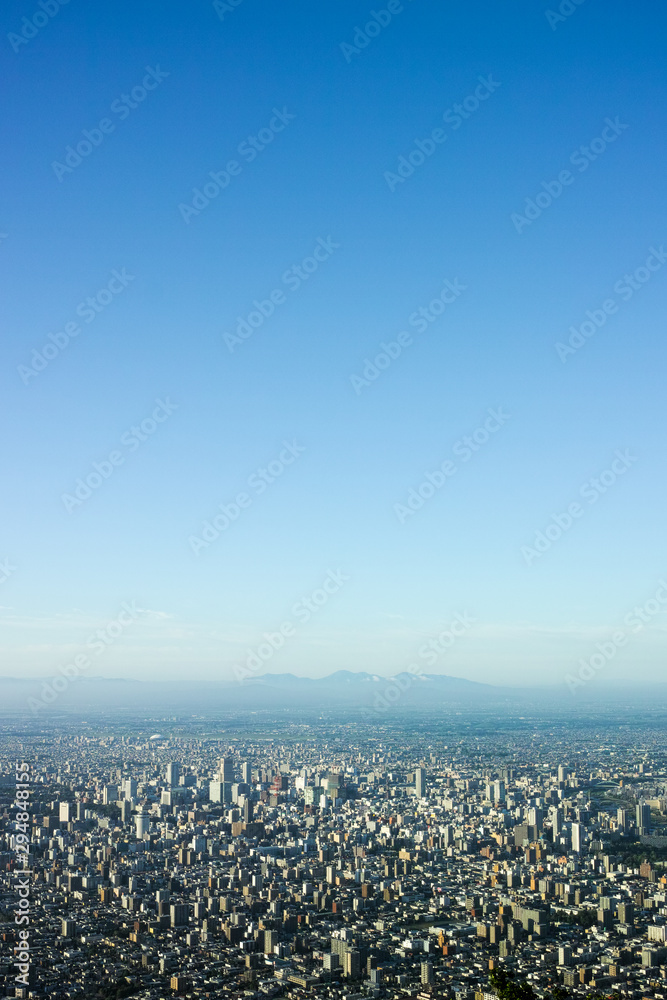 Obraz premium aerial view from Mt Moiwa, Sapporo Hokkaido Japan