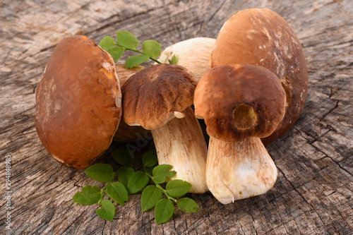 Boletus edulis mushrooms on old wooden background. Autumn Gourmet food. Porcini mushroom. 