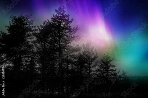 Multicolored northern lights on Canadian forest