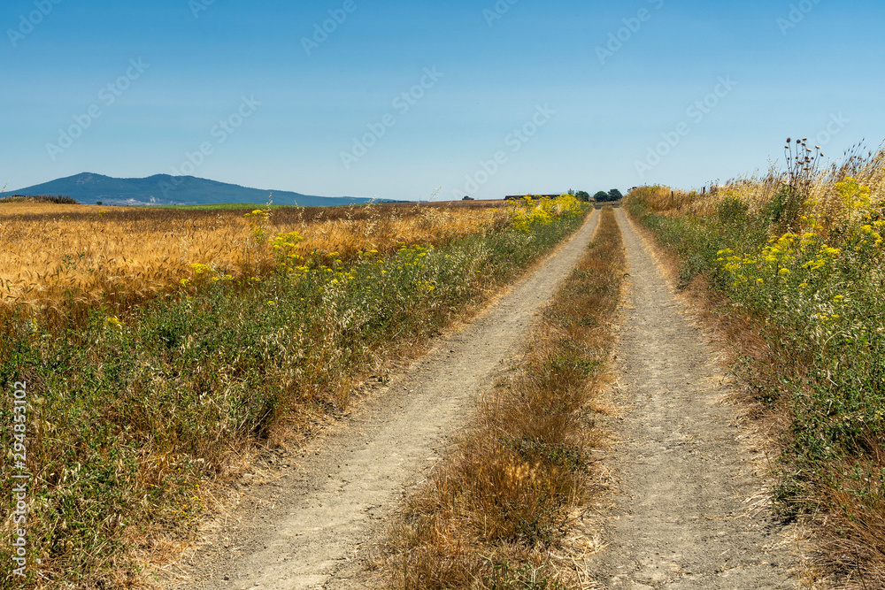 Obraz premium Country road from Capalbio to Tarquinia