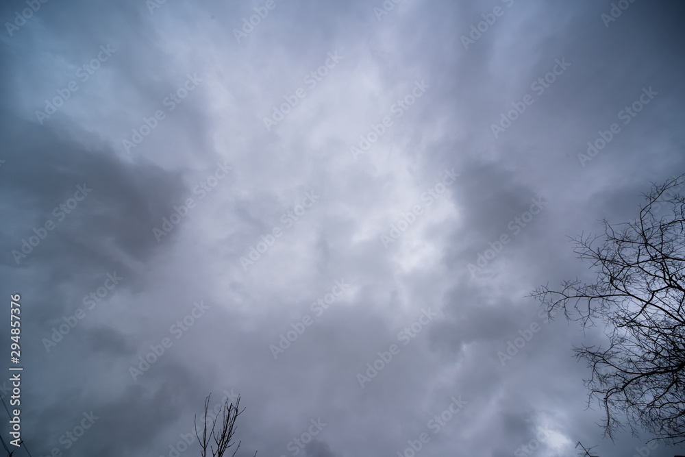 Dark dramatic sky with clouds and trees without leaves Dark dramatic sky with clouds and trees without leaves