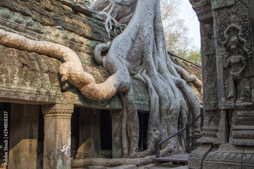 Old tree roots and old building in Angkor Wat 