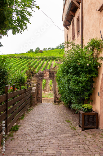Riquewihr in Alsace  France. Enchanting medieval village  along the wine road that connects Colmar to Strasbourg. View of the vineyards from the old village within the walls.