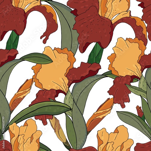 vector seamless pattern of painted irises without background