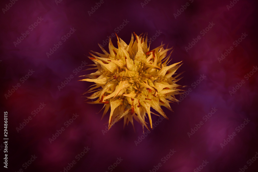 3d rendering of healh care micro biology virus, flu, microbe on purlple background 3d rendering of healh care micro biology virus, flu, microbe on purlple background