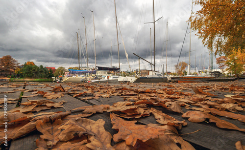 Yachts stand at a berth covered with autumn leaves.