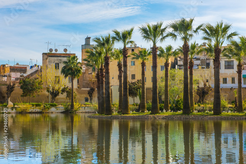 Jnan Sbil or Bou Jeloud garden, Royal Park in Fez with lake and palms, Fez Morocco photo