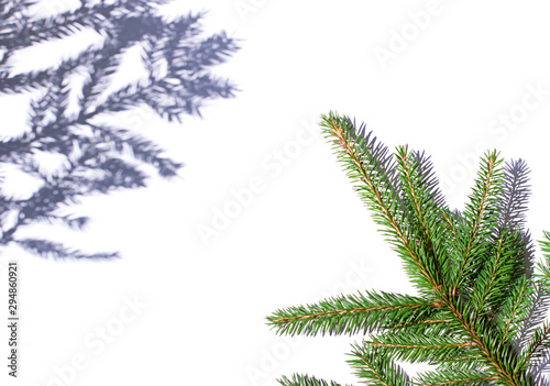 Christmas fir concept frame on the white sunny background. Copy space. Top view