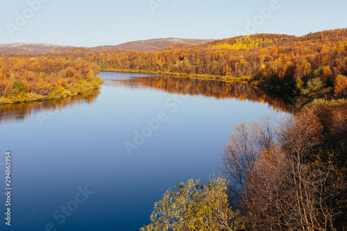 Beautiful river and colorful orange autumn trees of northern taiga on a sunny day at Kola Peninsula. Murmansk region, Russia. Nature landscape beyond the Arctic Circle