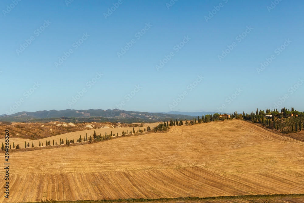 Obraz premium Typical landscapes for Siena Province in Tuscany, Italy. Cypress hills, plowed fields, roads and houses. Begining of autumn season.