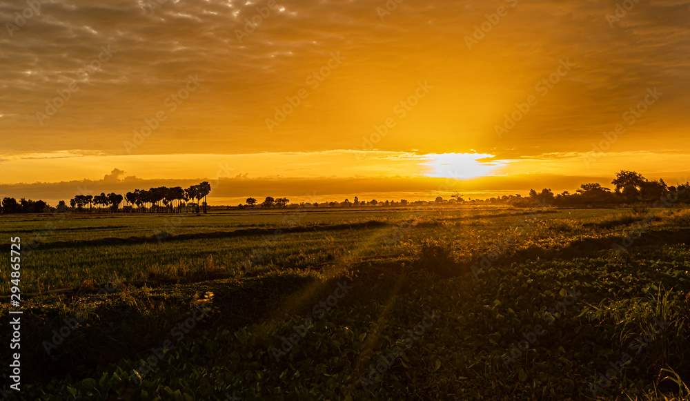 Obraz premium Sunrise at farm