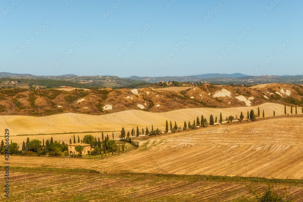 Fototapeta premium Typical landscapes for Siena Province in Tuscany, Italy. Cypress hills, plowed fields, roads and houses. Begining of autumn season.