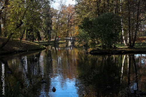 quiet corner in the park, pond and bridge, trees are reflected in the water