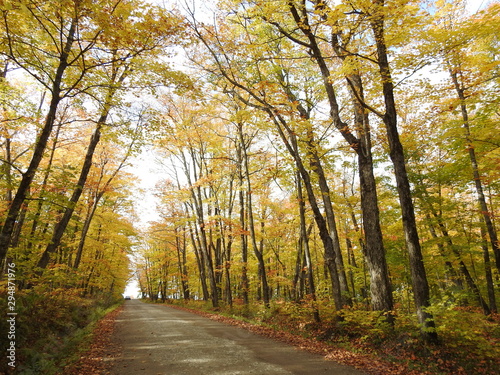  The maple road in autumn