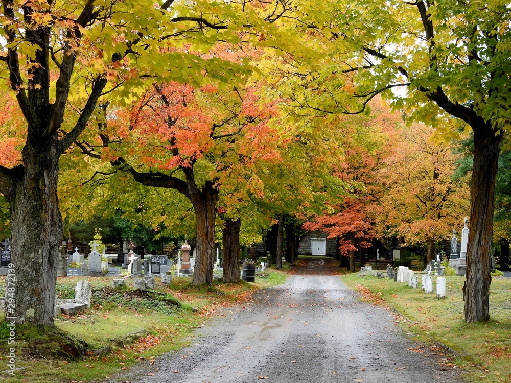 The Montmagny cemetery in autumn
