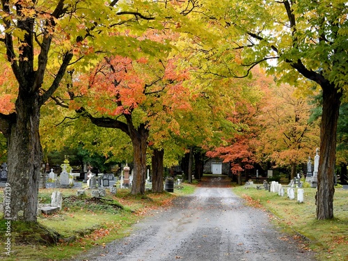 The Montmagny cemetery in autumn photo