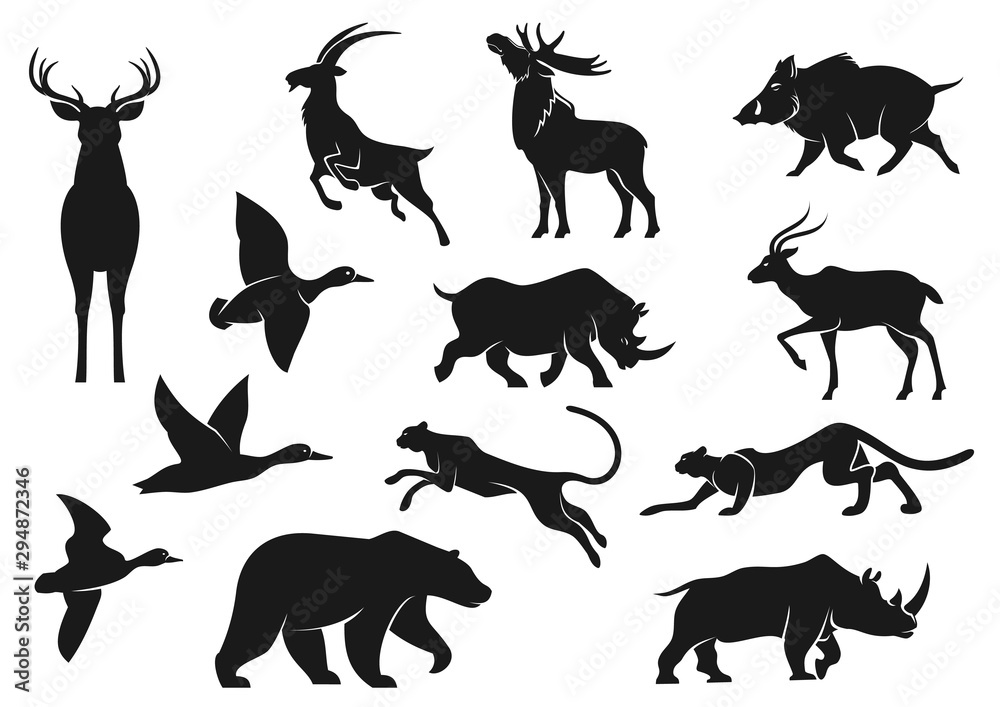 Obraz premium Birds and animals isolated silhouettes