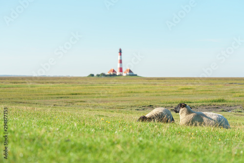 Leuchtturm und Schafe im Nordfriesischen Westerhever