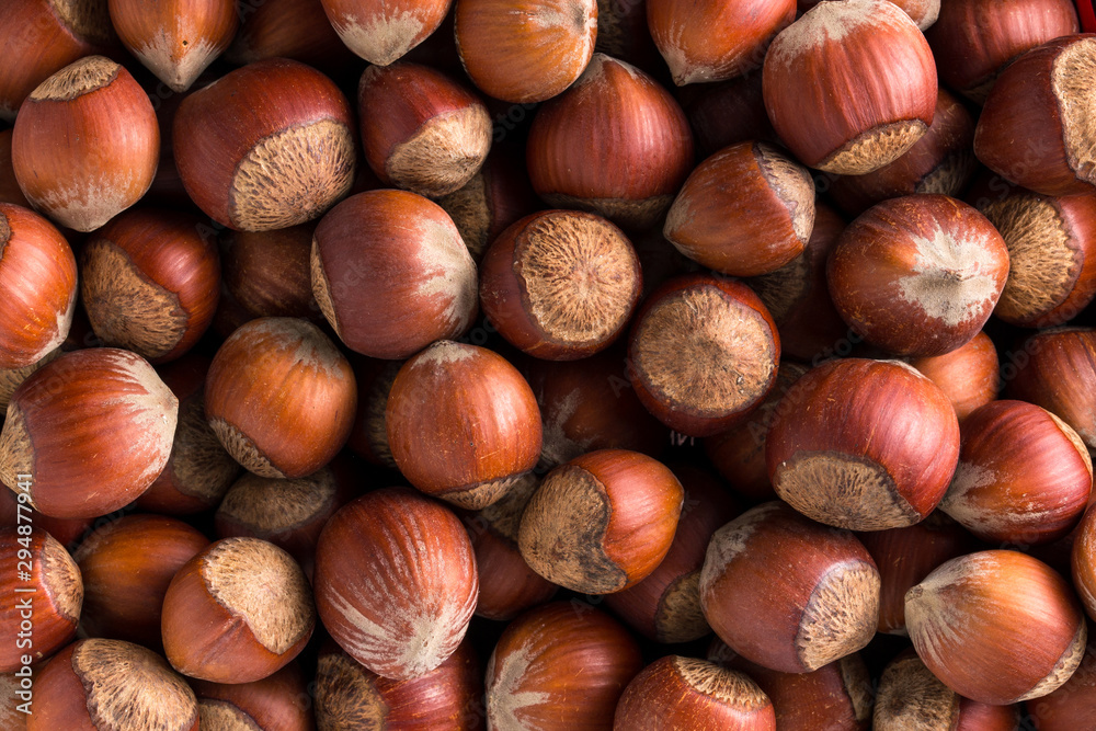 Hazelnuts. Stack of hazelnuts. Food background. Hazelnuts texture. Top view Hazelnuts. Stack of hazelnuts. Food background. Hazelnuts texture. Top view