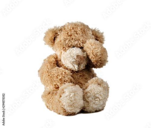 teddy bear isolated on white background
