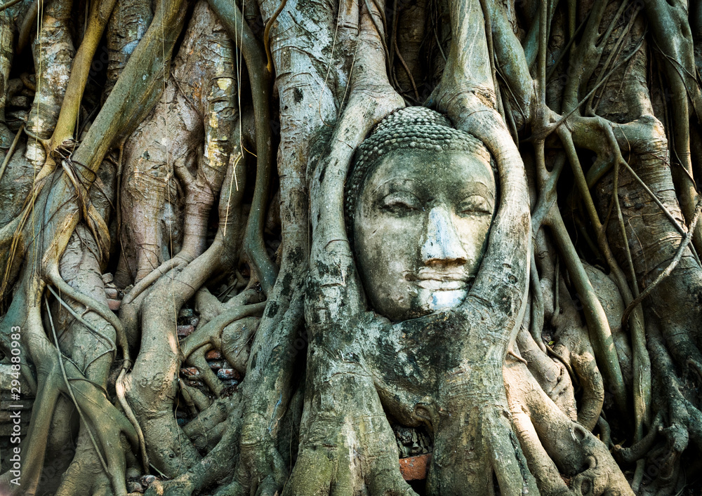 Head statue of Buddha in Ayutthaya, Thailand