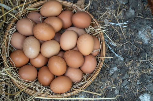 Fresh chicken eggs in the basket on the ground after farmers collect eggs from the farm. Concept of Non-toxic food.