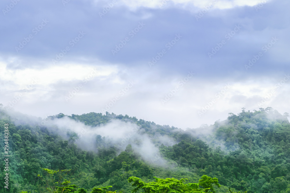 Obraz premium landscape view on the high mountain see many trees and white fog above the land in khao lak Thailand