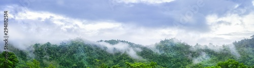 Panorama landscape view on the high mountain see many trees and white fog above the land in khao lak Thailand