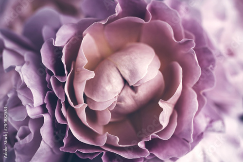 Bouquet of pink roses close up, toned, soft focus. Floral vintage background.